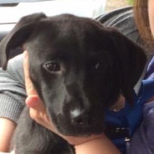 Meet your Posher, Mary